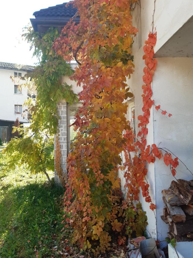 Locanda Rondolost Cencenighe Dış mekan fotoğraf