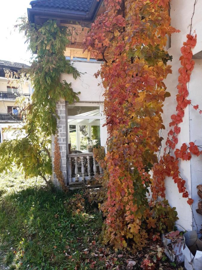 Locanda Rondolost Cencenighe Dış mekan fotoğraf