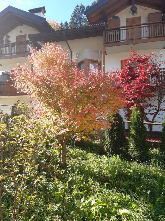 Locanda Rondolost Cencenighe Dış mekan fotoğraf